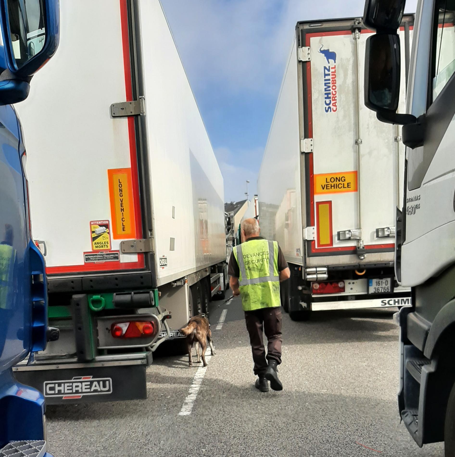 Contrôle sureté port de Cherbourg avec chien renifleur