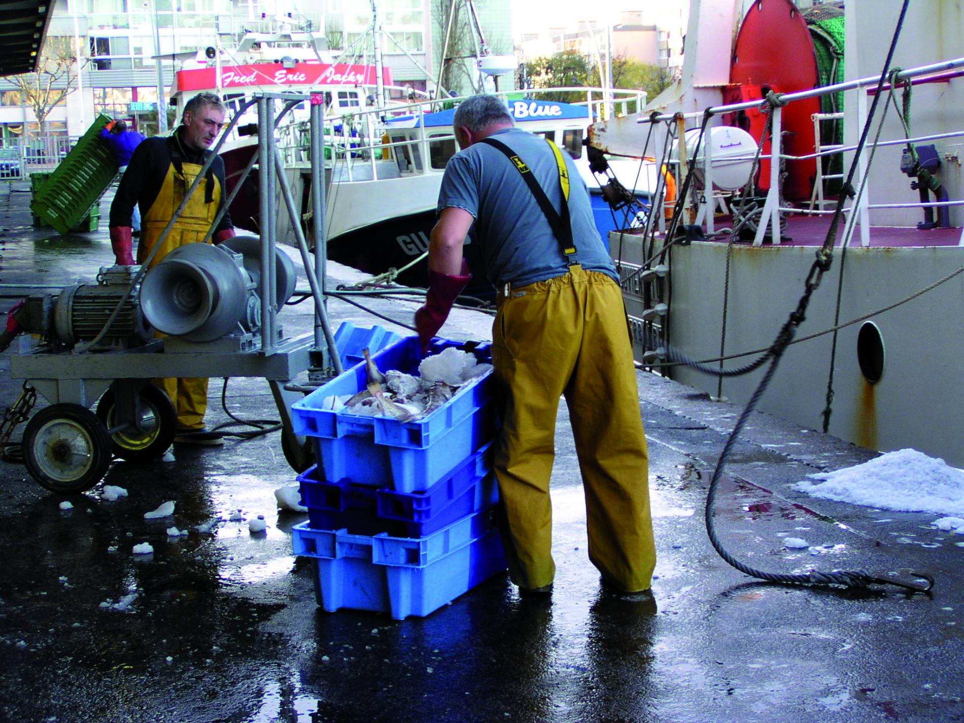 PortdeCherbourg-Peche