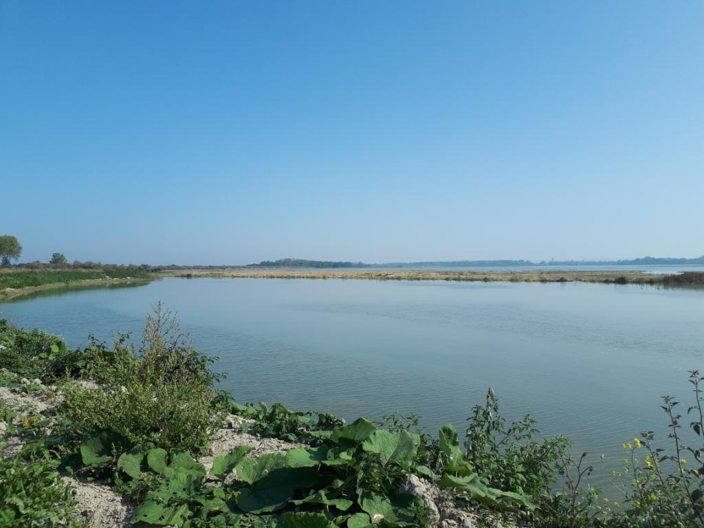 Vasiere proche du barrage du Maresquier