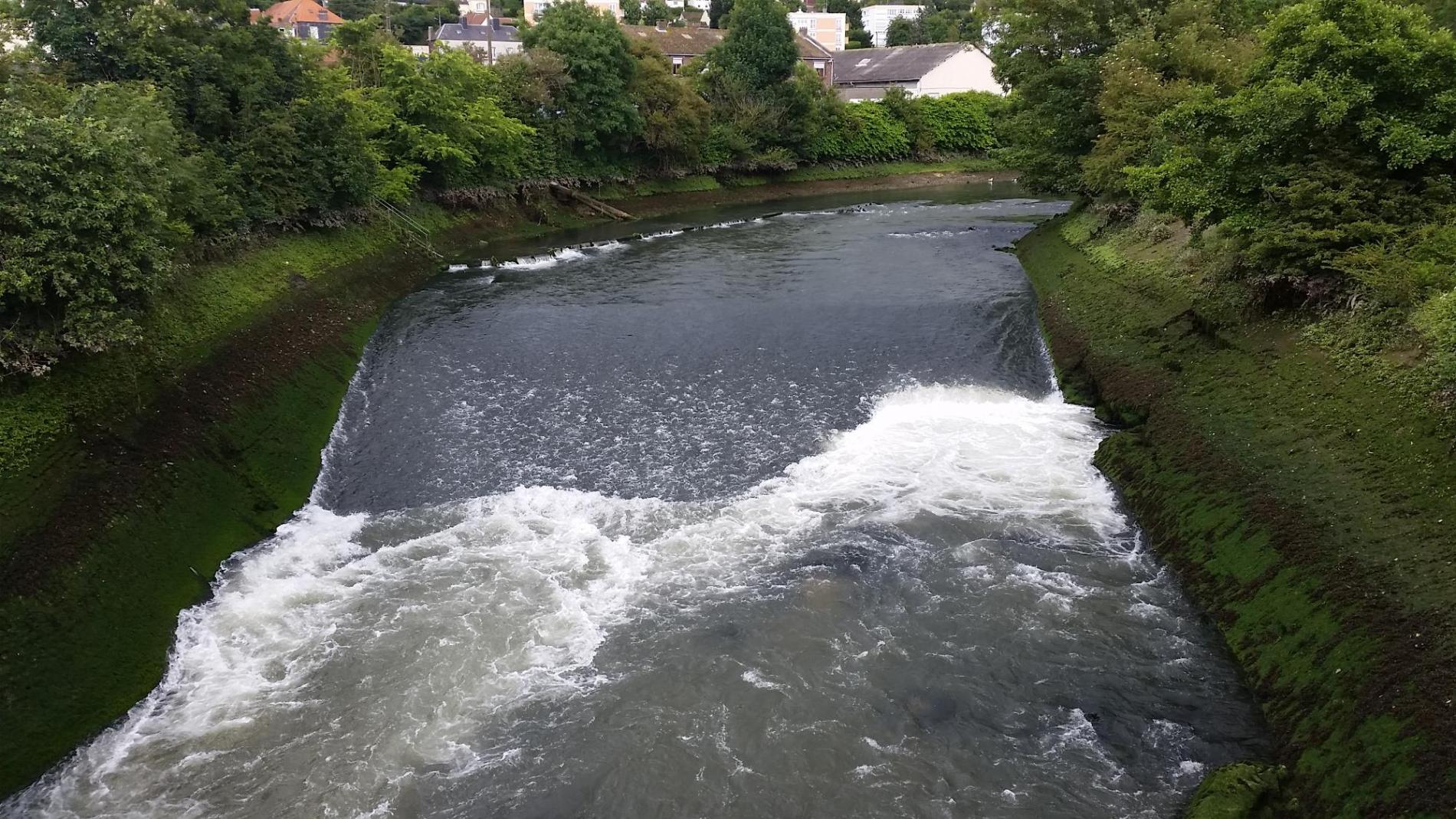 Rivière L'Arques à Dieppe